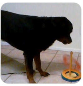 fda