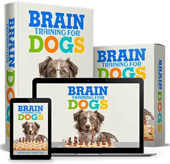 Brain Training for Dogs by Adrienne Farricelli — official program package