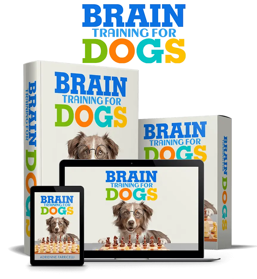 Brain Training for Dogs complete program — instant digital access on all devices