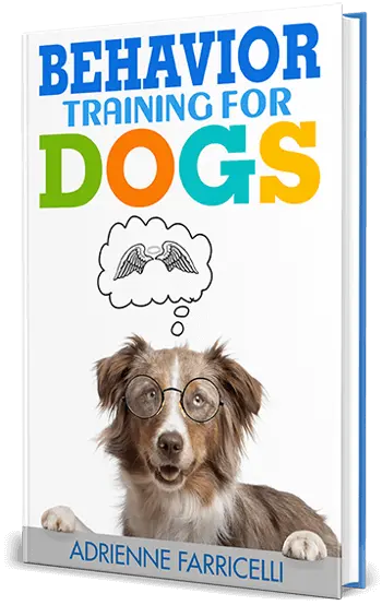 Brain Training for Dogs program — get instant access today